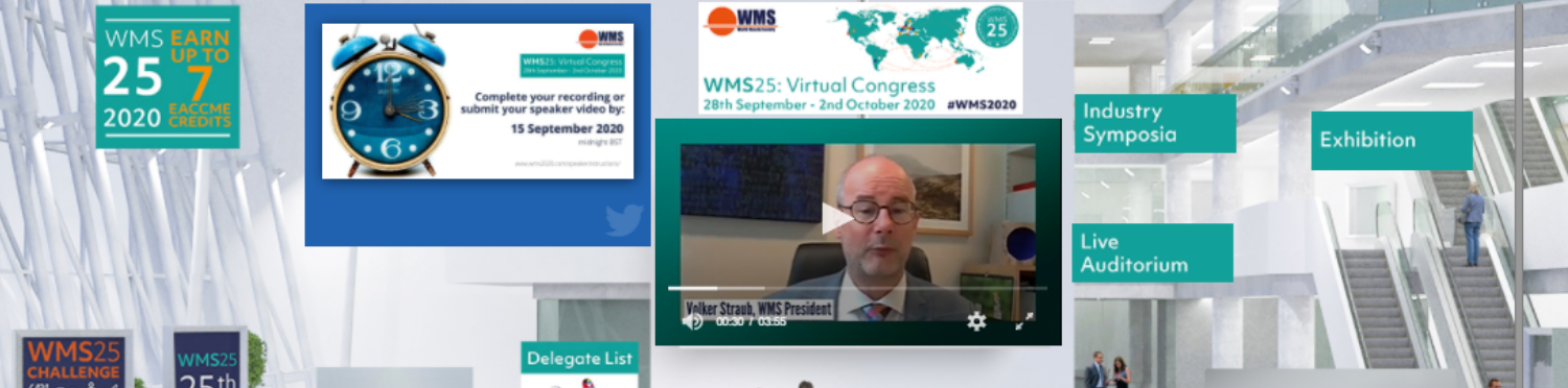 WMS2020 virtual platform 1
