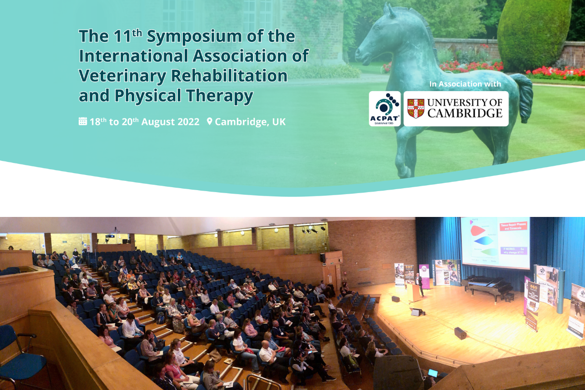 IAVRPT 2022 11th Symposium